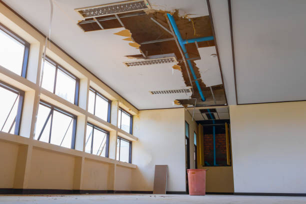 Best Water damage restoration company  in Carmel, IN