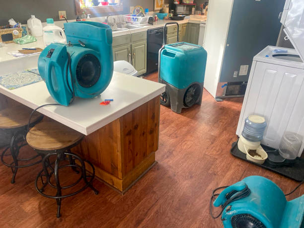 Best Commercial water damage restoration  in Carmel, IN
