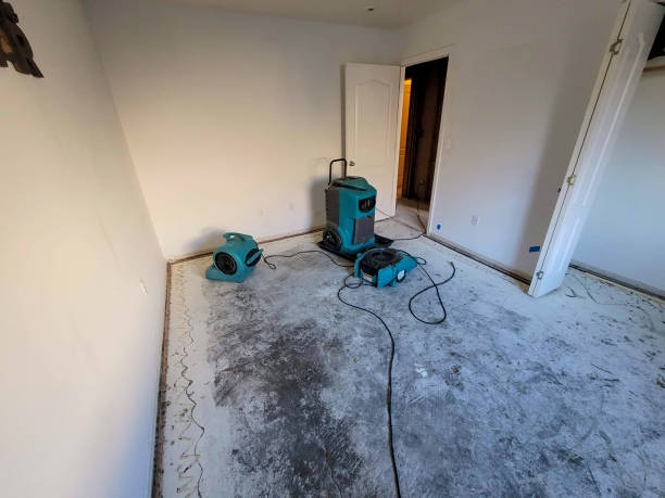 Best Water damage restoration company  in Carmel, IN
