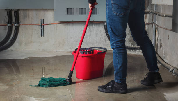 Best Water damage cleanup near me  in Carmel, IN