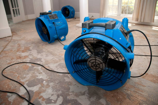 Best Residential water damage restoration  in Carmel, IN