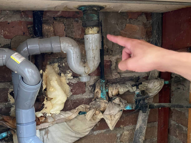 Best Flood damage cleanup  in Carmel, IN
