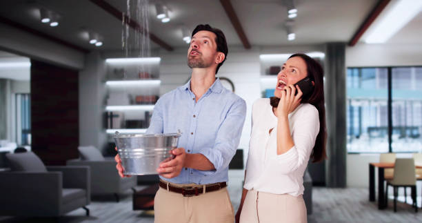 Best Flooded house restoration  in Carmel, IN